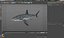 Great White Shark Rigged per Cinema 4D