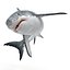 Great White Shark Rigged per Cinema 4D