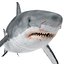 Great White Shark Rigged per Cinema 4D