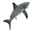 Great White Shark Rigged per Cinema 4D