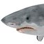Great White Shark Rigged per Cinema 4D