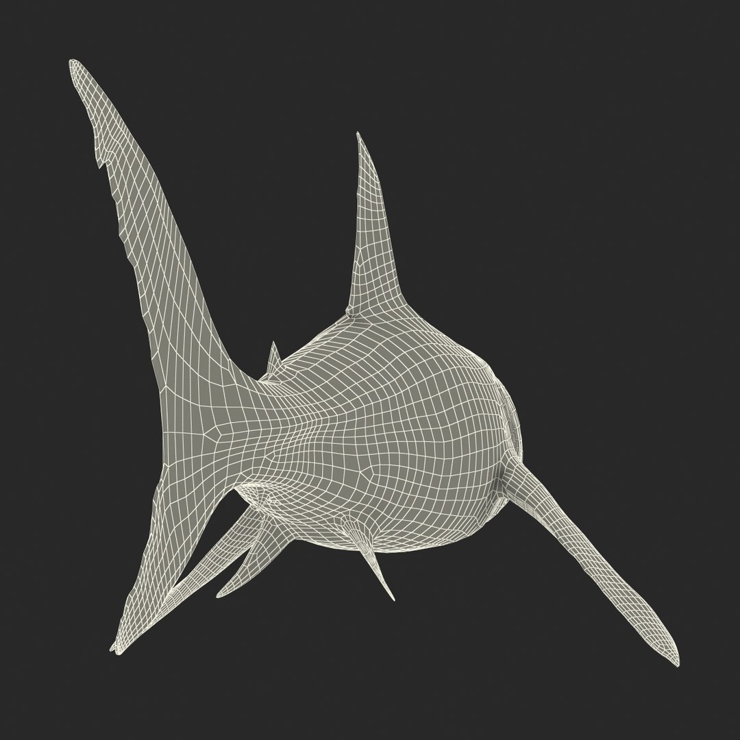 3d model great white shark rigged https://p.turbosquid.com/ts-thumb/Ug/EPqSJO/MVIPwOZm/greatwhitesharkriggedcinemac4d3dmodel38/jpg/1479308131/1920x1080/fit_q87/ea566b21a5a218cde2b8288d839a278dc54adc3d/greatwhitesharkriggedcinemac4d3dmodel38.jpg