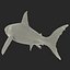 Great White Shark Rigged per Cinema 4D