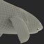 Great White Shark Rigged per Cinema 4D