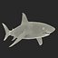 Great White Shark Rigged per Cinema 4D