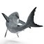 Great White Shark Rigged per Cinema 4D