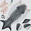 Great White Shark Rigged per Cinema 4D
