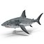 Great White Shark Rigged per Cinema 4D