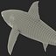Great White Shark Rigged per Cinema 4D