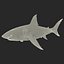 Great White Shark Rigged per Cinema 4D