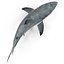 Great White Shark Rigged per Cinema 4D