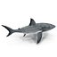 Great White Shark Rigged per Cinema 4D