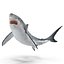 Great White Shark Rigged per Cinema 4D