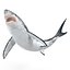 Great White Shark Rigged per Cinema 4D