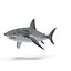 Great White Shark Rigged per Cinema 4D