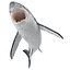 Great White Shark Rigged per Cinema 4D