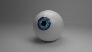 Cartoon eye model
