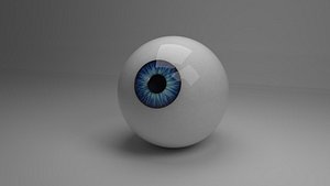 Cartoon eye model