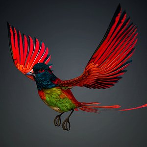 3D model Pheasant Bird-B5