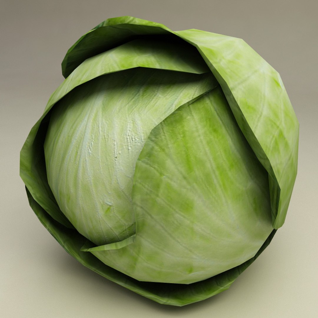 3d Model Cabbage Modelled