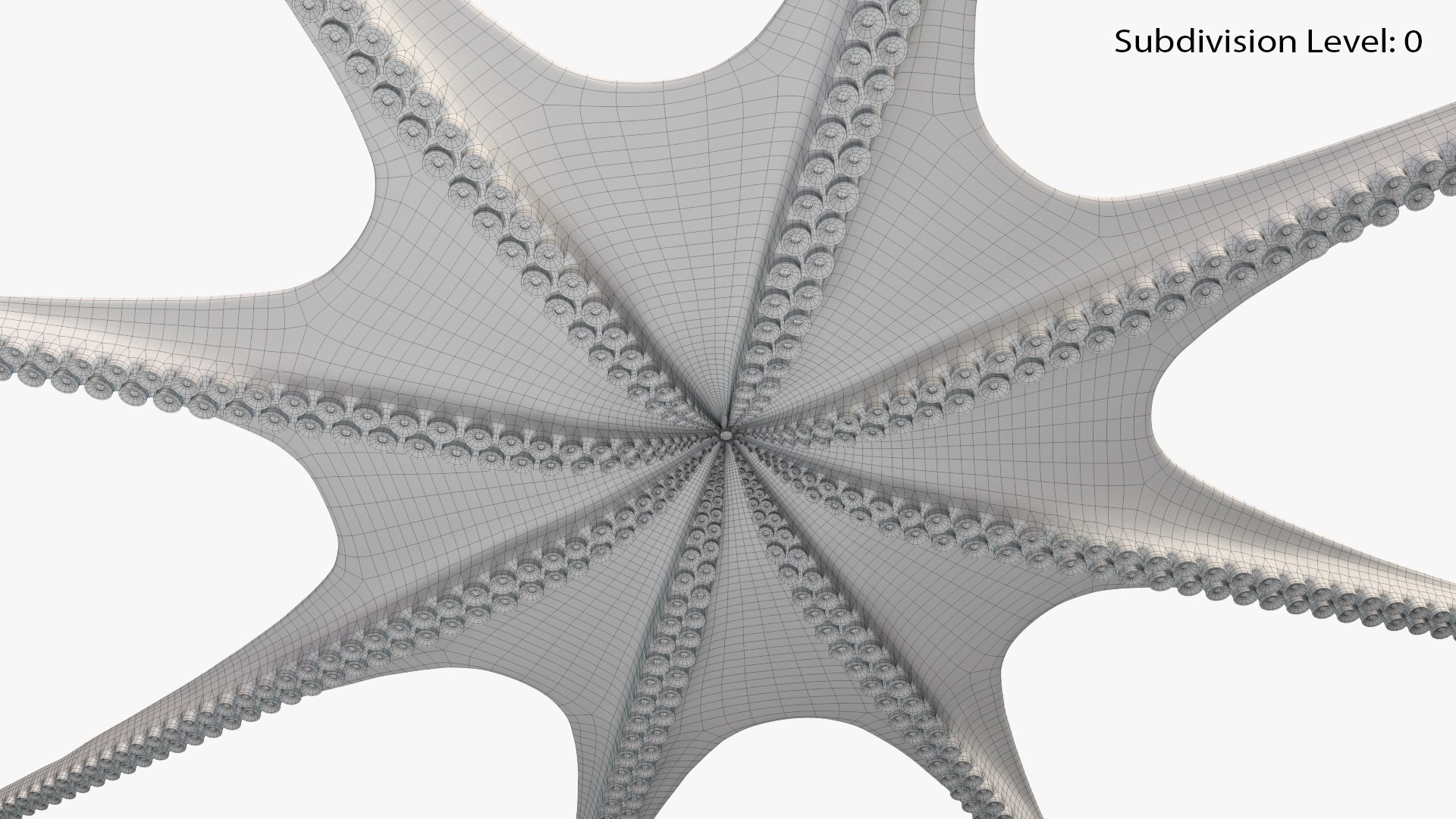 Octopus 3D Model - TurboSquid 2098469