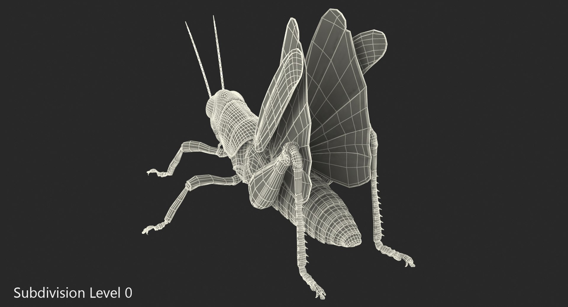 3D Grasshopper Rigged - TurboSquid 1244134