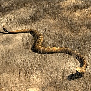 Rattlesnake_nurb.lwo