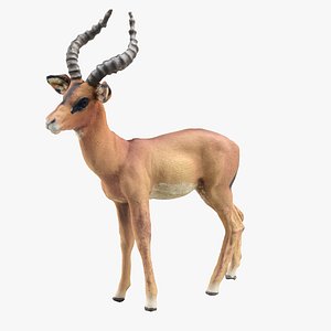 deer mammal animal 3D model
