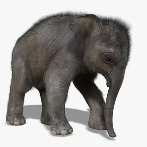 photorealistic baby elephant rigged 3d model