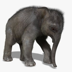 Elephant Calf (RIGGED) (FUR)