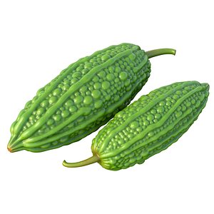 Bitter gourd v2 3D model