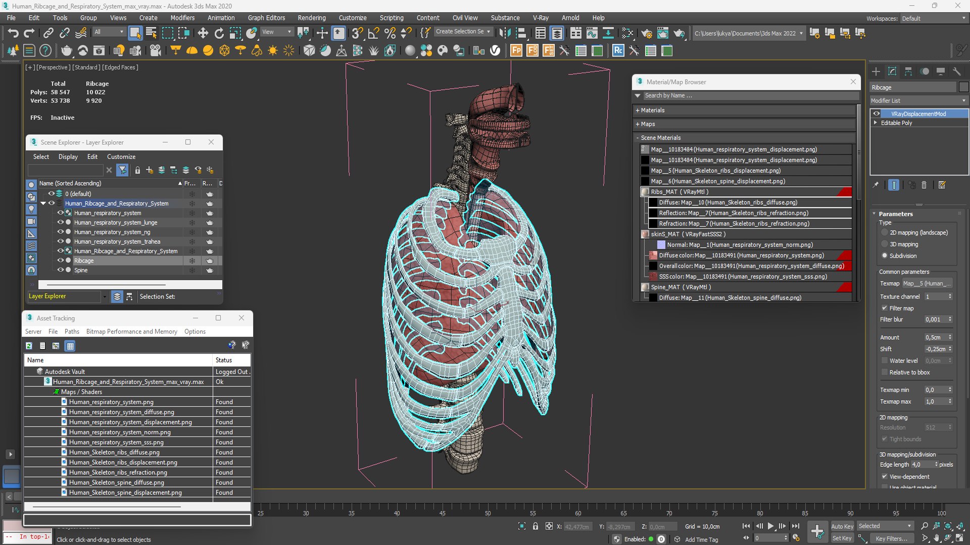 3D Human Ribcage and Respiratory System model https://p.turbosquid.com/ts-thumb/Ug/trhqpC/M4/human_ribcage_and_respiratory_system_013/jpg/1743512458/1920x1080/fit_q87/2b8584926ce1f6fbadb24276df556b771505566d/human_ribcage_and_respiratory_system_013.jpg