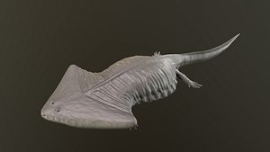 Diplocaulus magnicornis 3D print model