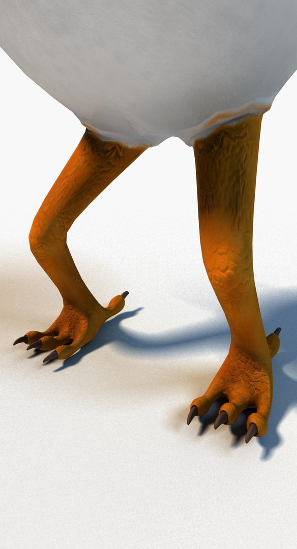 Cartoon Chicken Rigged 3d Model