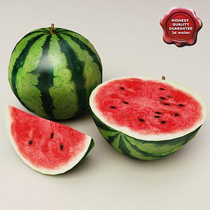 max watermelons modelled