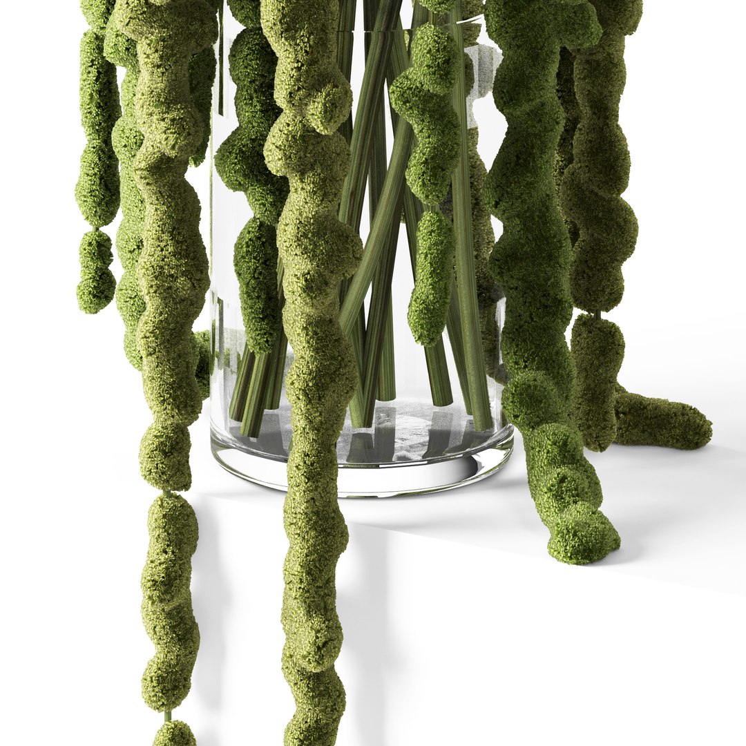 Realistic green amaranthus 3D model - TurboSquid 1344902