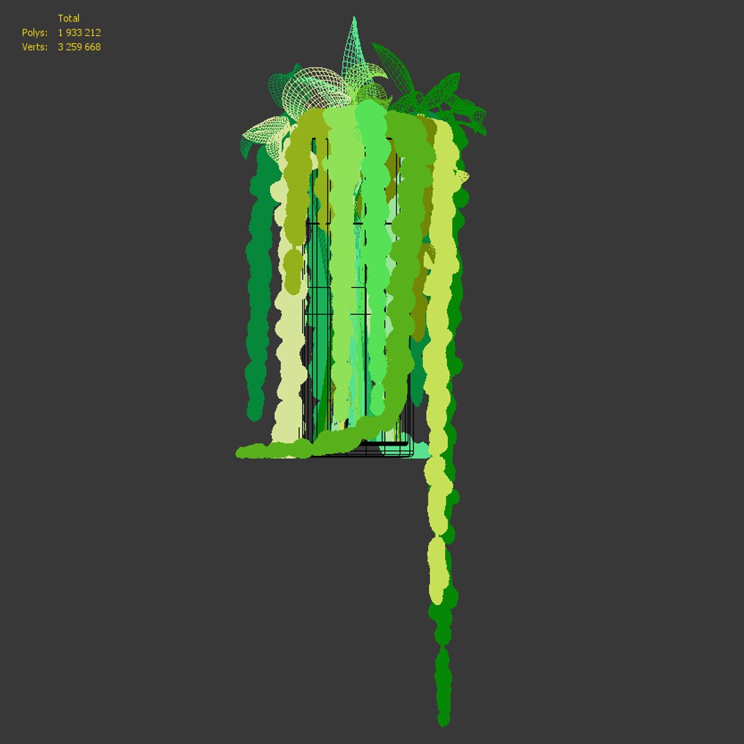 Realistic green amaranthus 3D model TurboSquid 1344902