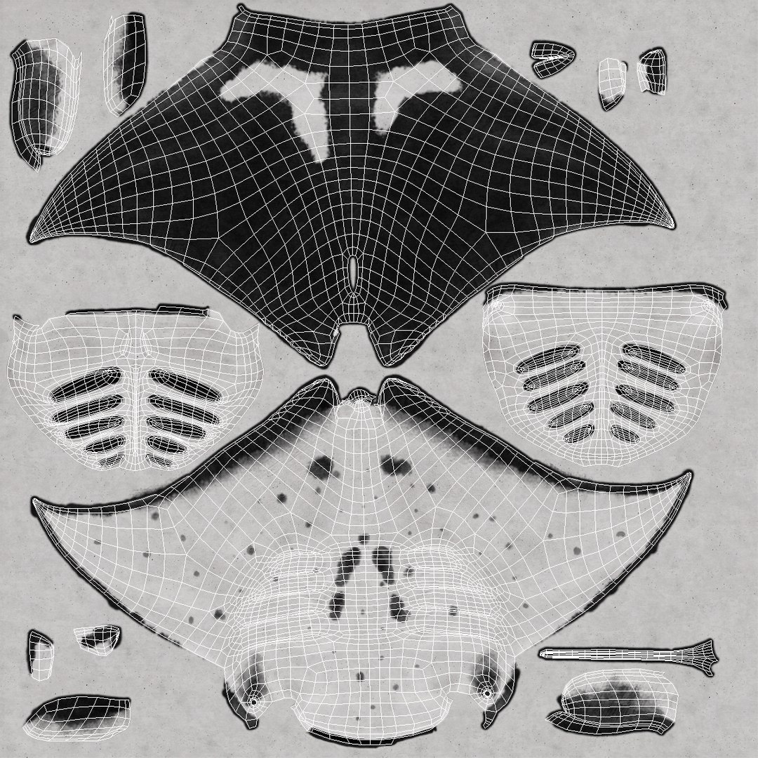 manta pose 2 obj https://p.turbosquid.com/ts-thumb/Uh/GG3raC/BaDs0QMg/mantarayc4d3dmodel18/jpg/1475076912/1920x1080/fit_q87/1831ab7d79e2917336014130886d32b02531c46e/mantarayc4d3dmodel18.jpg