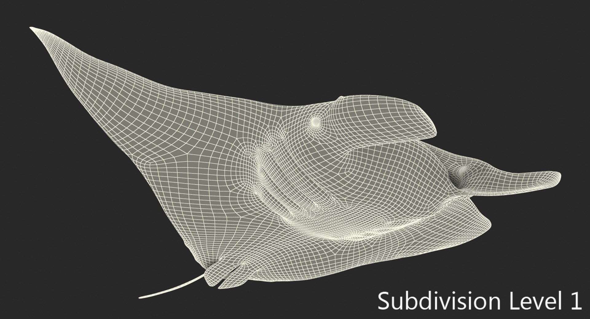 manta pose 2 obj https://p.turbosquid.com/ts-thumb/Uh/GG3raC/BeEhIrFw/mantarayc4d3dmodel17/jpg/1475076912/1920x1080/fit_q87/a9663d1978bcfcfe53aea9eeaea087b683003a15/mantarayc4d3dmodel17.jpg