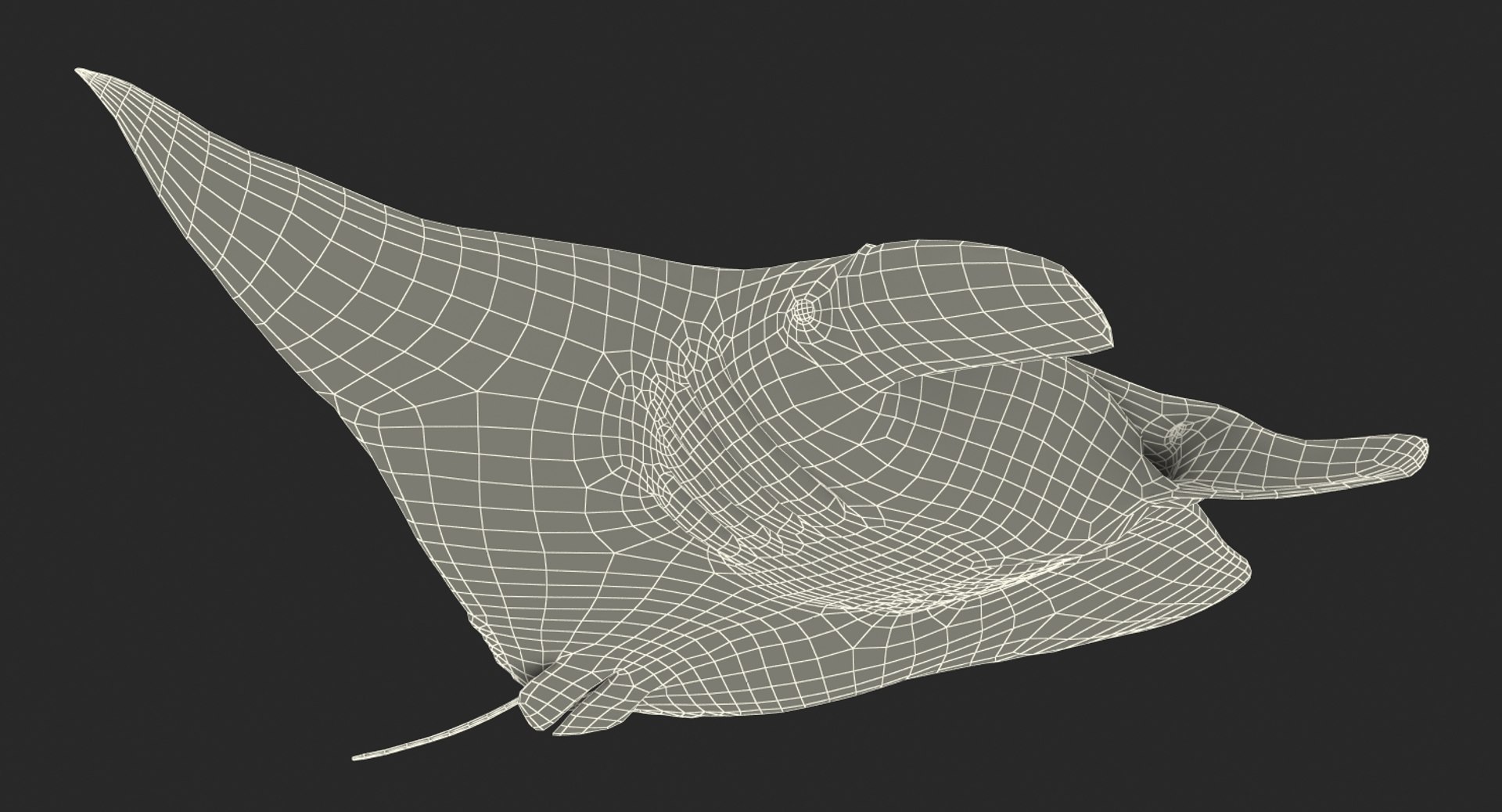 manta pose 2 obj https://p.turbosquid.com/ts-thumb/Uh/GG3raC/C3gGURK6/mantarayc4d3dmodel23/jpg/1475076913/1920x1080/fit_q87/36c6cee898db1028813e0cbca9f60c5219d804bd/mantarayc4d3dmodel23.jpg