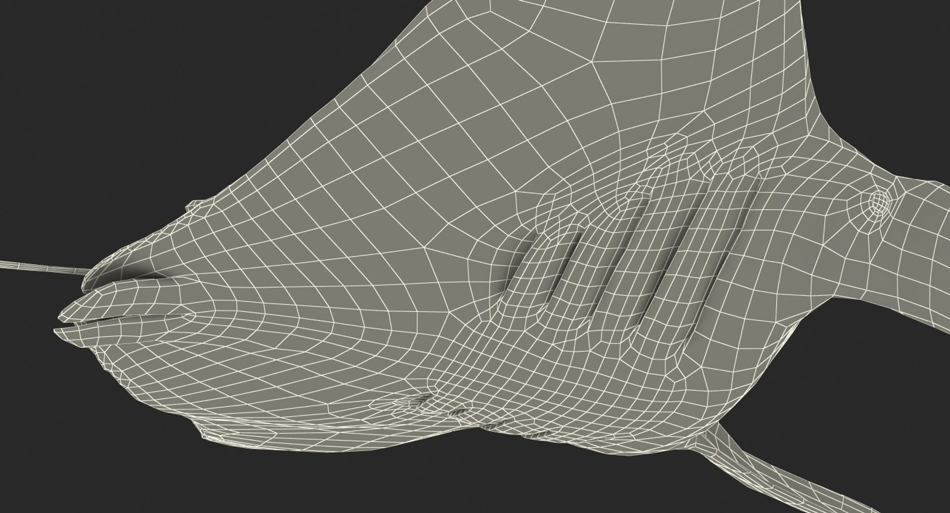 manta pose 2 obj https://p.turbosquid.com/ts-thumb/Uh/GG3raC/JUROFRu0/mantarayc4d3dmodel25/jpg/1475076913/1920x1080/fit_q87/8e2c394669159216eef1f62d7b2294c79c3fdd94/mantarayc4d3dmodel25.jpg