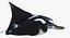 Manta Ray Pose 2