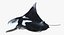 Manta Ray Pose 2