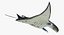 Manta Ray Pose 2