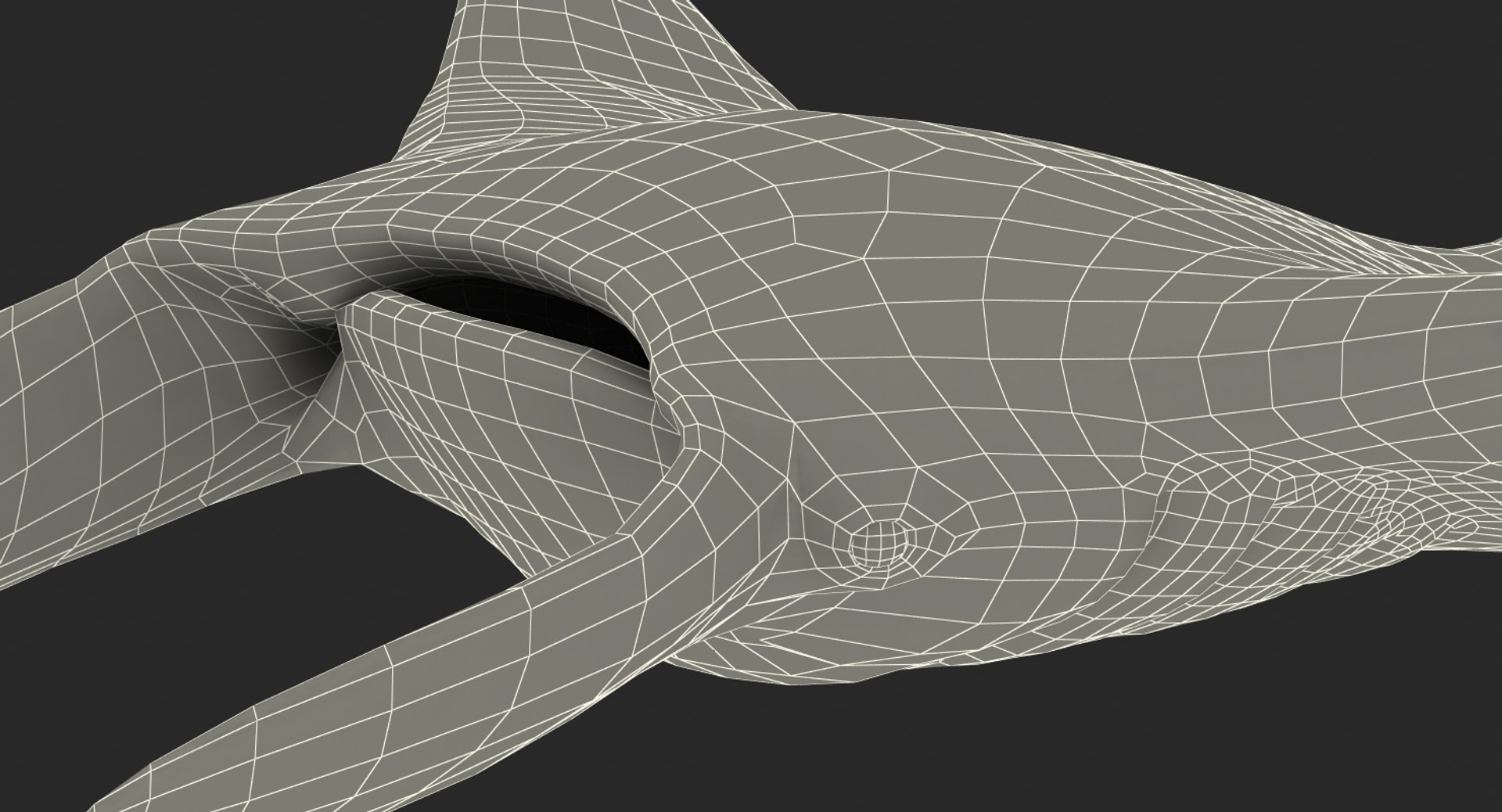 manta pose 2 obj https://p.turbosquid.com/ts-thumb/Uh/GG3raC/X2sAKMQM/mantarayc4d3dmodel26/jpg/1475076913/1920x1080/fit_q87/ba5643171c75d7152884805810d0690c67fd74b4/mantarayc4d3dmodel26.jpg