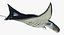 Manta Ray Pose 2