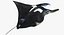 Manta Ray Pose 2