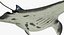 Manta Ray Pose 2