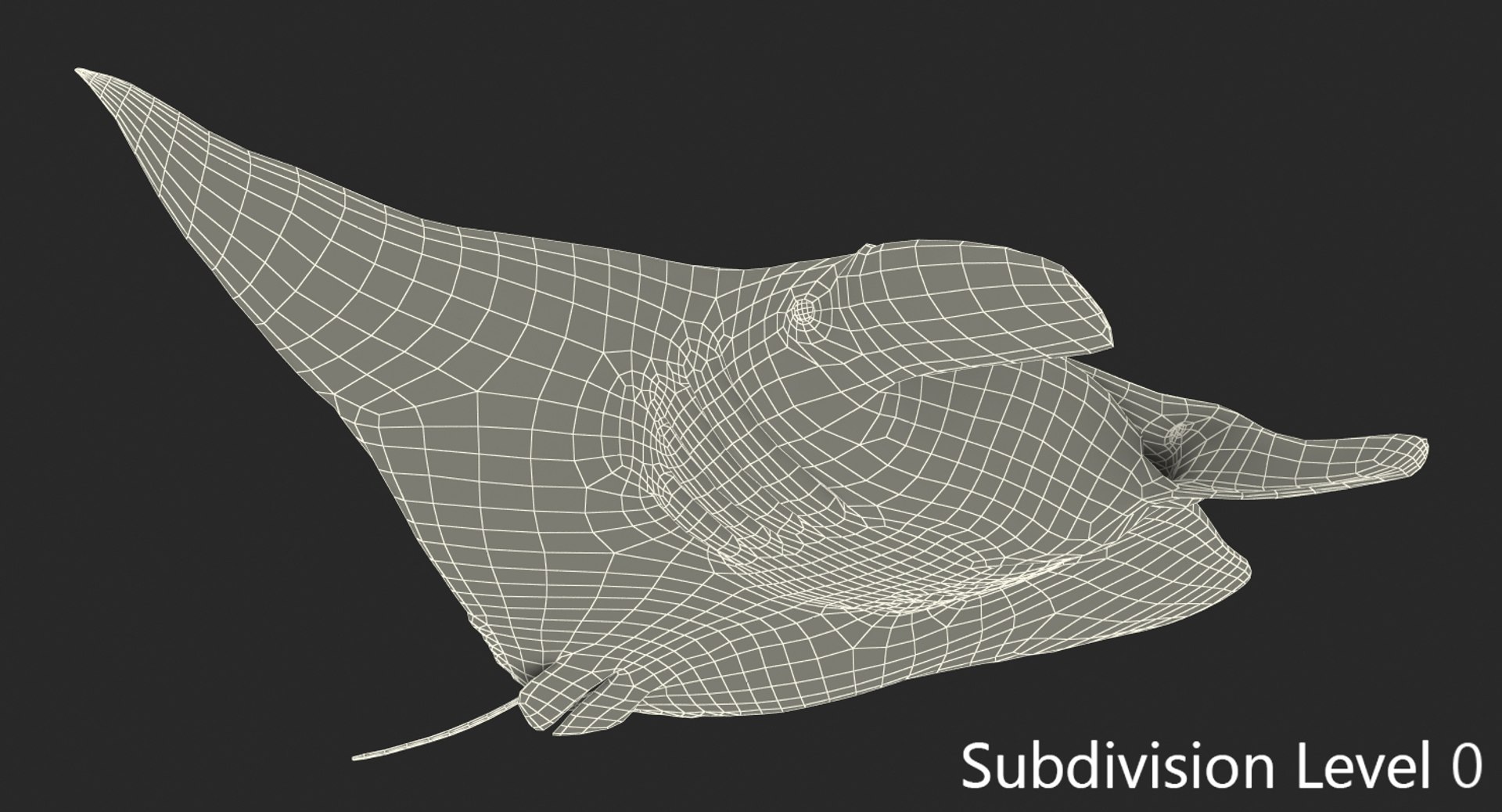 manta pose 2 obj https://p.turbosquid.com/ts-thumb/Uh/GG3raC/yedih7Ic/mantarayc4d3dmodel16/jpg/1475076912/1920x1080/fit_q87/85109d571f97ae4a164e70fb77deaf4bb2d90199/mantarayc4d3dmodel16.jpg