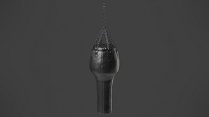 3D model Punching Bag 3